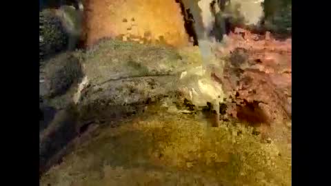 fapforfuckingfun online show from December 2024 09:00:01 PM