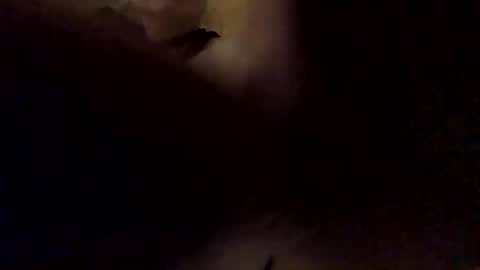 Snapshot of faranume66 chatting on October 2025 09:04:02 PM faranume66 online show from October 2025 09:04:02 PM