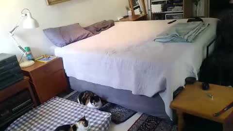 KingT online show from April 2026 10:03:02 AM