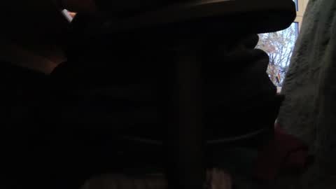 Snapshot of fat_bubble chatting on October 2025 03:51:01 PM Fat Bernd online show from October 2025 03:51:01 PM