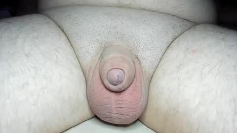 Snapshot of fatmanscock chatting on January 2025 05:11:02 AM Fatmanscock online show from January 2025 05:11:02 AM