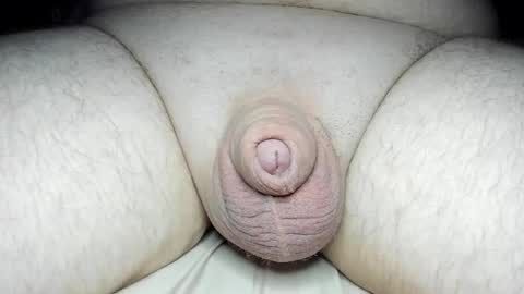 Snapshot of fatmanscock chatting on February 2025 02:34:01 AM Fatmanscock online show from February 2025 02:34:01 AM