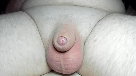 Snapshot of fatmanscock chatting on March 2025 04:56:02 AM Fatmanscock online show from March 2025 04:56:02 AM