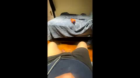 fatz71056 online show from November 2025 05:17:01 AM