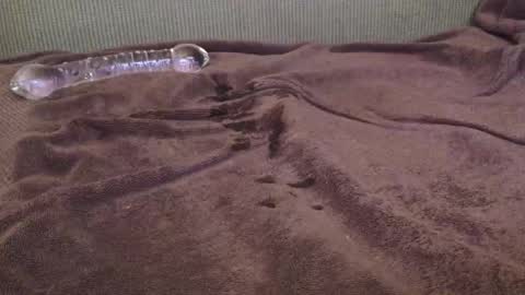 fauntzil online show from March 2026 01:56:01 AM