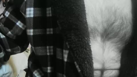 feardubh online show from March 2026 09:26:01 AM