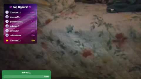 Snapshot of feetnymph chatting on February 2025 05:41:01 AM Soley online show from February 2025 05:41:01 AM