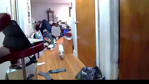 felicitybliss29 online show from November 2025 04:24:02 AM