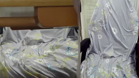 Snapshot of felixlau chatting on December 2024 01:13:02 PM felixlau online show from December 2024 01:13:02 PM