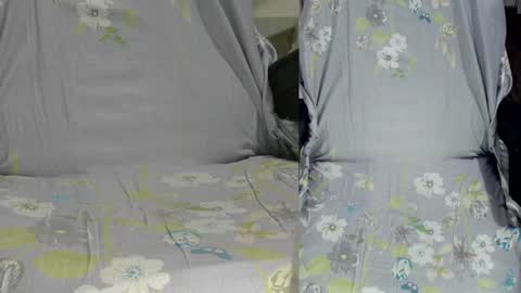 Snapshot of felixlau chatting on January 2025 10:17:01 AM felixlau online show from January 2025 10:17:01 AM