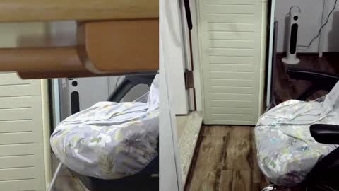 Snapshot of felixlau chatting on January 2025 12:11:02 PM felixlau online show from January 2025 12:11:02 PM