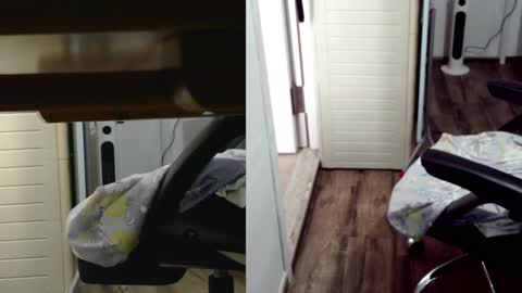 Snapshot of felixlau chatting on February 2025 07:51:02 AM felixlau online show from February 2025 07:51:02 AM