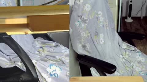 Snapshot of felixlau chatting on February 2025 01:10:02 PM felixlau online show from February 2025 01:10:02 PM