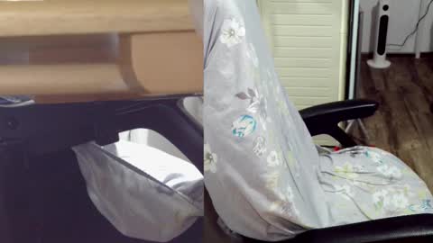 Snapshot of felixlau chatting on February 2025 12:01:02 PM felixlau online show from February 2025 12:01:02 PM