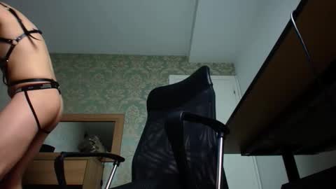 FelixStark online show from October 2025 04:13:01 AM