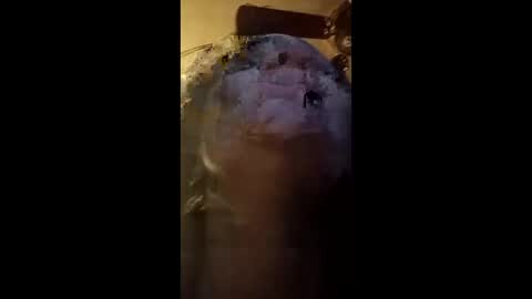 fellatio13 online show from May 2026 05:57:02 AM