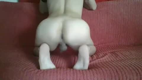 Snapshot of femboyhot28 chatting on November 2025 03:05:01 AM femboyhot28 online show from November 2025 03:05:01 AM