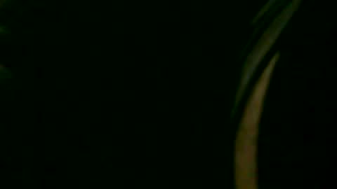 fer_2197 online show from January 2025 12:13:01 AM