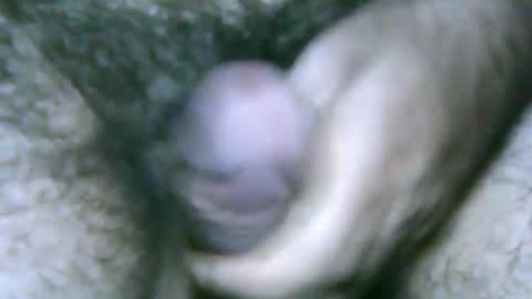 fer_2197 online show from January 2025 09:55:02 PM