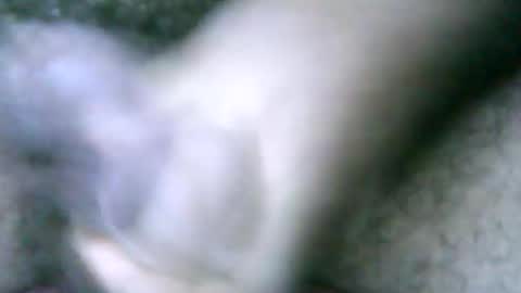 fer_2197 online show from February 2025 02:06:02 PM