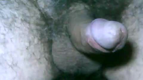 fer_2197 online show from May 2026 02:04:01 PM