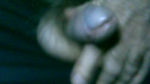 Snapshot of fer_2197 chatting on June 2026 02:01:01 AM fer_2197 online show from June 2026 02:01:01 AM