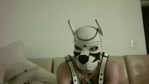 Snapshot of fetishsearch1abdl chatting on September 2025 11:03:01 AM fetishsearch1abdl online show from September 2025 11:03:01 AM