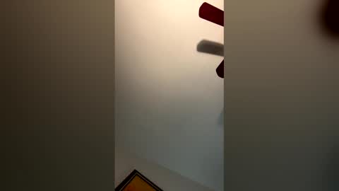 fettybetty777 online show from March 2026 03:56:02 AM