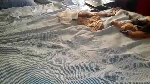 Snapshot of ffst0ckings chatting on December 2024 07:56:01 PM ffst0ckings online show from December 2024 07:56:01 PM