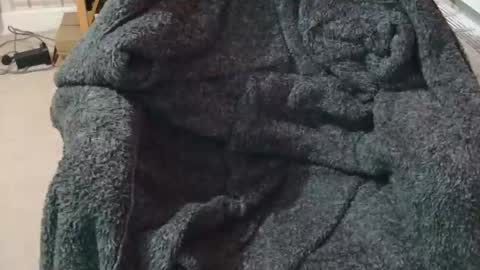 Snapshot of ffys2025 chatting on February 2026 09:22:01 PM ffys2025 online show from February 2026 09:22:01 PM