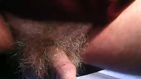 fh1963 online show from February 2026 12:16:01 PM