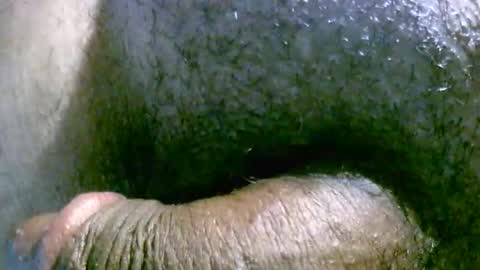 filedbc2024 online show from March 2025 04:49:02 AM