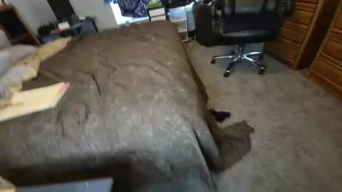 Snapshot of filfaonyx chatting on November 2025 05:12:02 PM filfaonyx online show from November 2025 05:12:02 PM