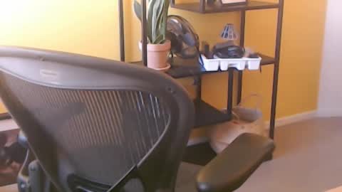 filip907 online show from September 2025 11:25:01 AM