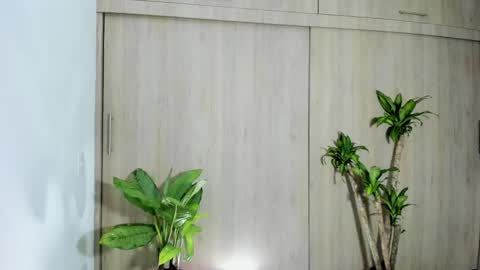 filletatouee online show from November 2025 04:44:01 AM