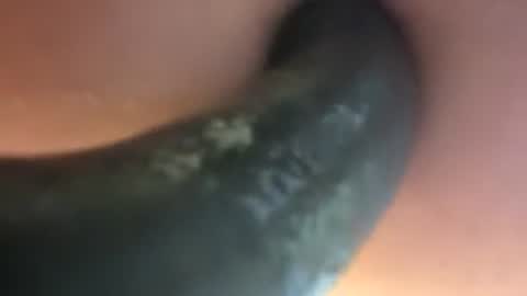Snapshot of fillmylittlehole chatting on July 2026 07:09:01 PM Fill My Little Hole online show from July 2026 07:09:01 PM