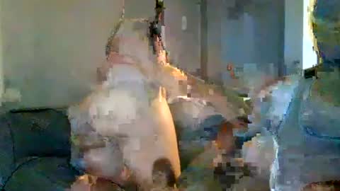 fineassmexican2224 online show from August 2026 12:01:01 AM