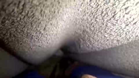 flaash_99 online show from March 2026 11:28:02 AM