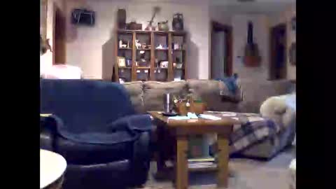 flipd online show from February 2026 04:19:02 AM