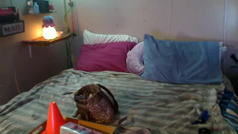 Snapshot of flopikin69 chatting on December 2024 09:09:02 PM Eisha online show from December 2024 09:09:02 PM