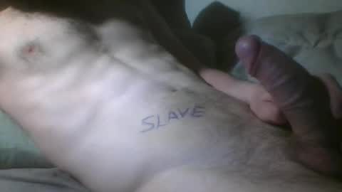 Snapshot of florian338 chatting on April 2026 06:42:01 PM florian338 online show from April 2026 06:42:01 PM