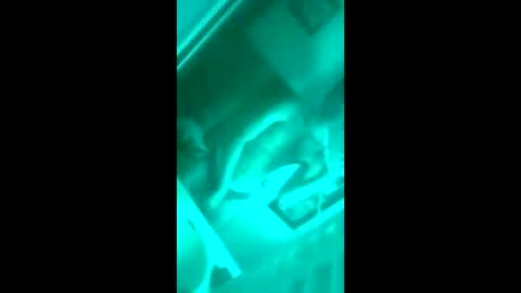 floridaloverboy88 online show from September 2025 05:29:02 PM