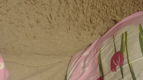 Snapshot of flowercandydoll chatting on December 2024 07:07:02 PM say meow and send tip online show from December 2024 07:07:02 PM