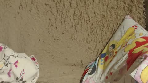 Snapshot of flowercandydoll chatting on February 2025 02:38:02 PM say meow and send tip online show from February 2025 02:38:02 PM