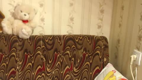 Snapshot of flowercandydoll chatting on February 2025 08:50:02 AM say meow and send tip online show from February 2025 08:50:02 AM