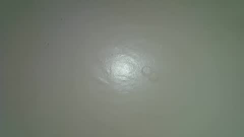 flowerdiva002 online show from December 2025 03:52:02 PM