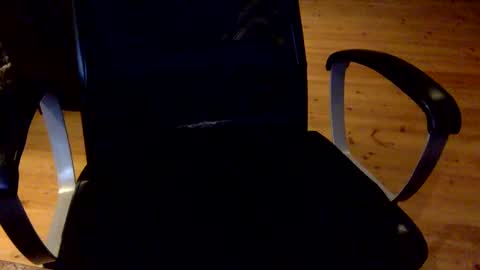 Snapshot of flowmover chatting on February 2025 06:54:02 PM flowmover online show from February 2025 06:54:02 PM