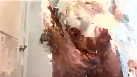 floxc online show from December 2025 07:40:02 PM