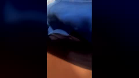 followthepipermore online show from May 2026 06:12:02 PM