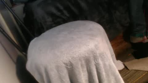 forestnymphpdx online show from December 2024 10:16:02 AM